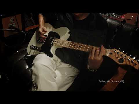 고퍼우드 T-Classic V + Orange Micro Dark 기타 앰프