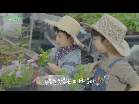 용인장터 TVC